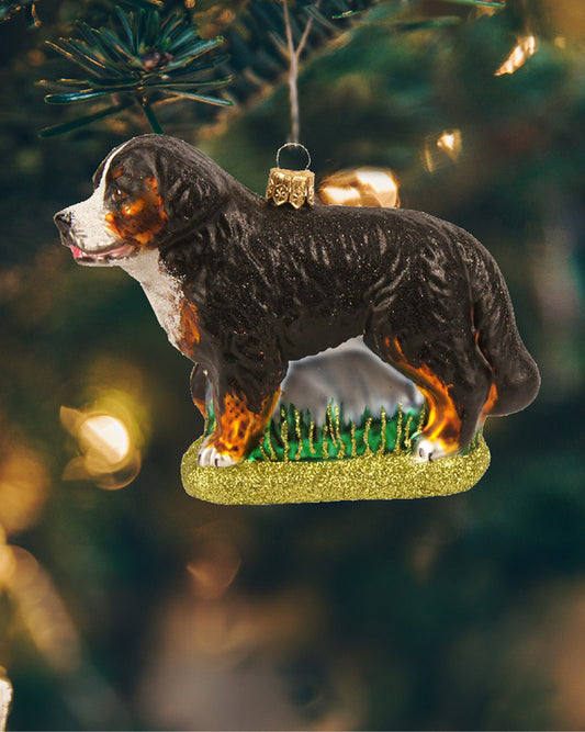 Smuk Berner Sennenhund julekugle i glas hængende i juletræet