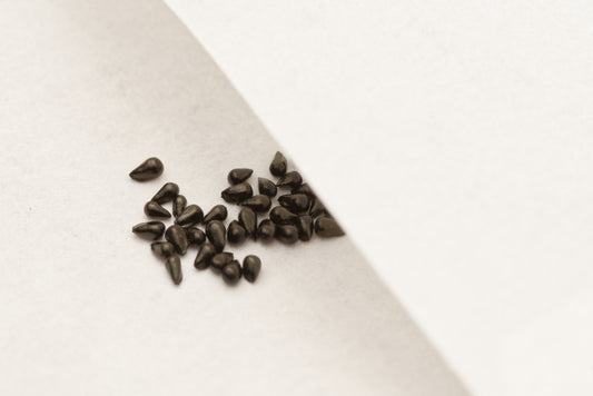 Frø fra et mix af grønne varianter af Venus flufanger (Dionaea muscipula)