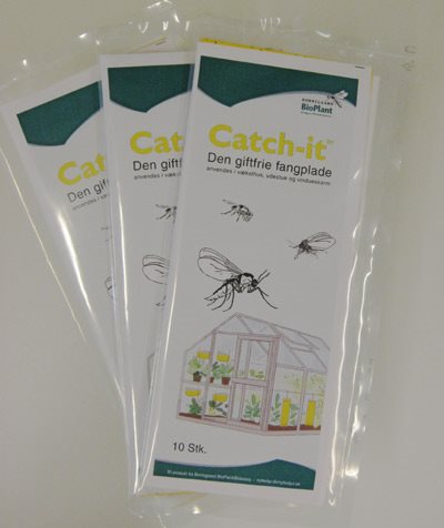 3 poser med gule fangplader, der ligger på et bord