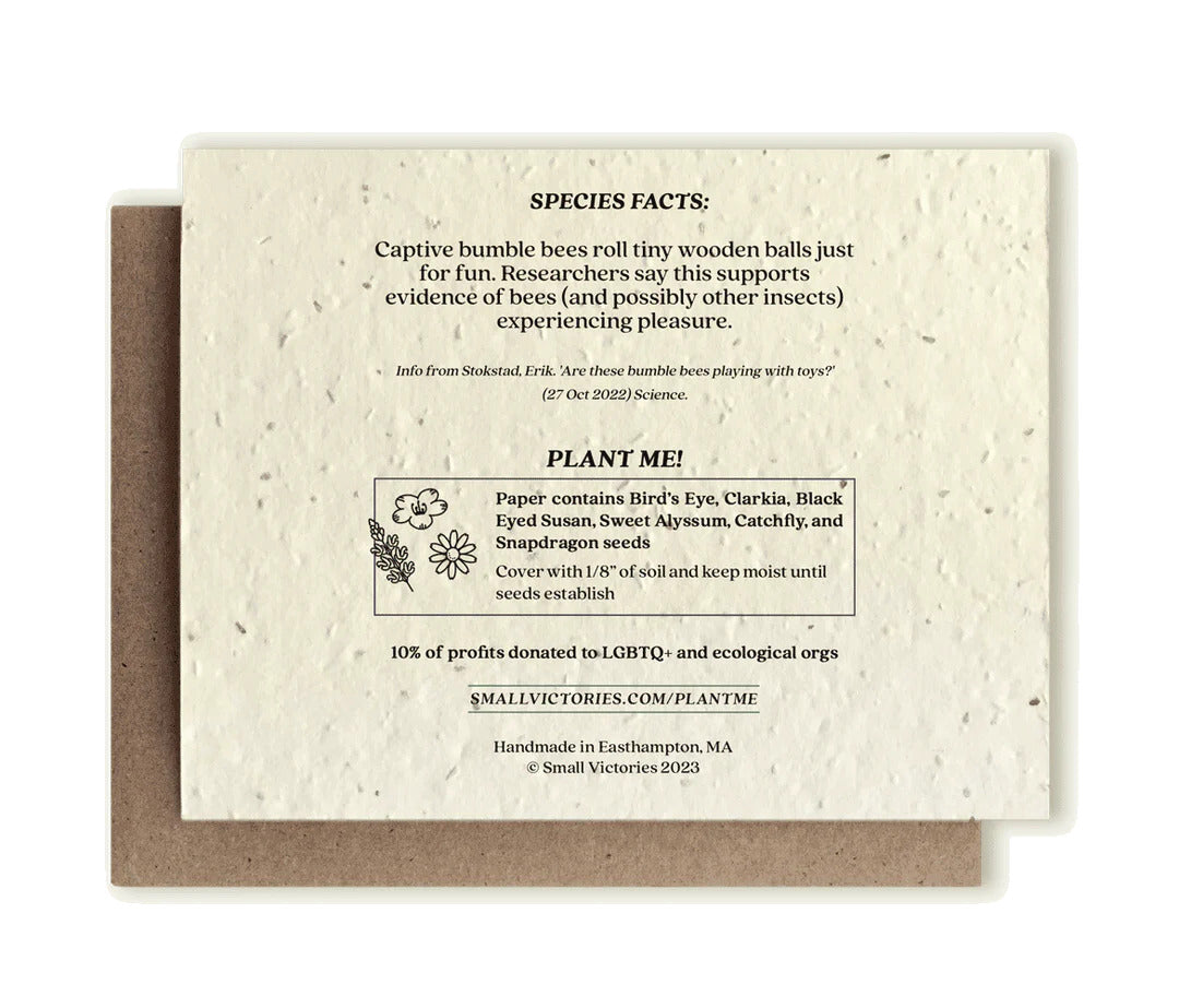 Bagsiden af humlebi postkort med lidt information om humlebien