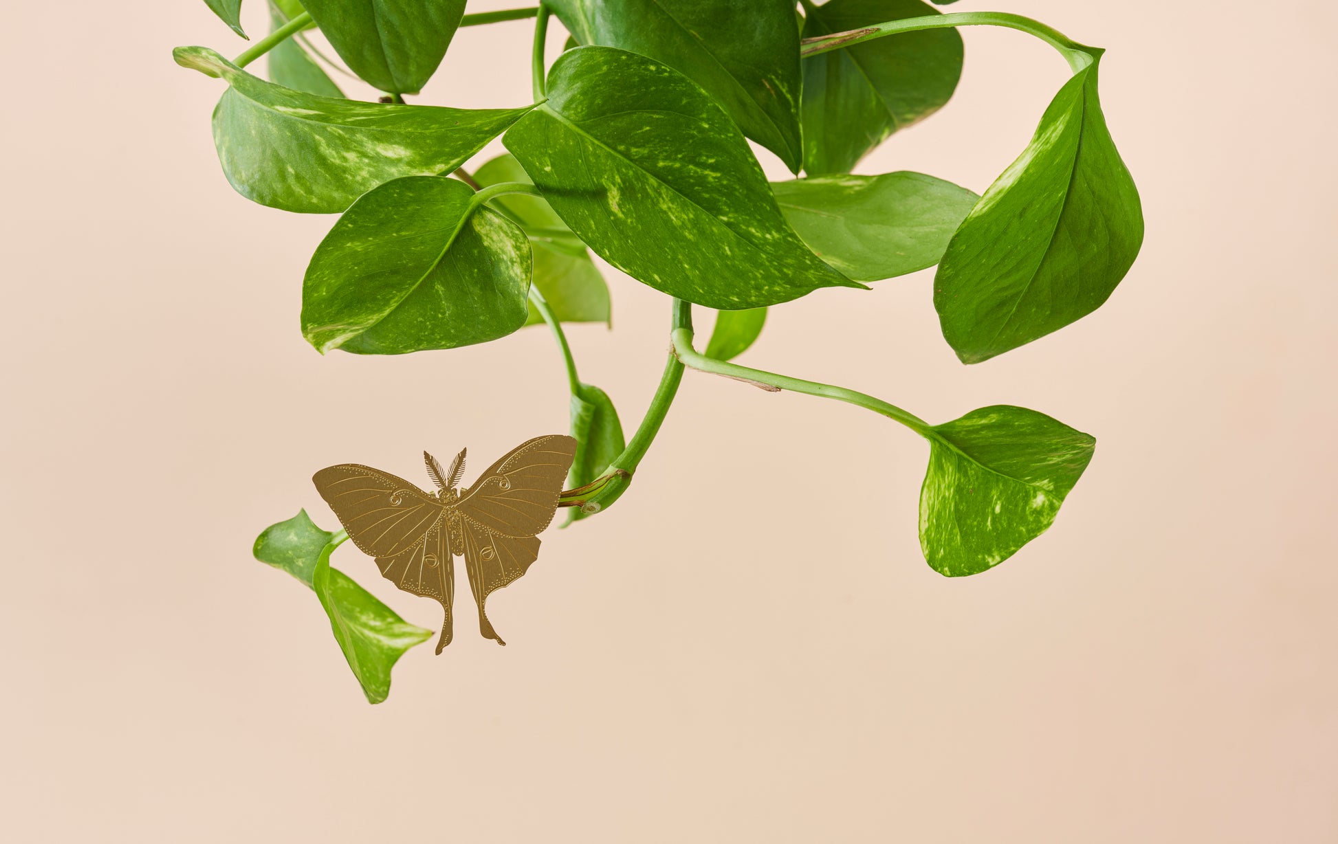 Luna møl lavet som lille messinge figur i en grøn plante