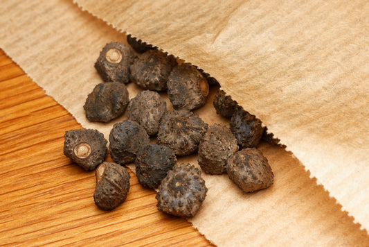 Cheesmans banan (Musa cheesmanii) frø i en brun papirspose