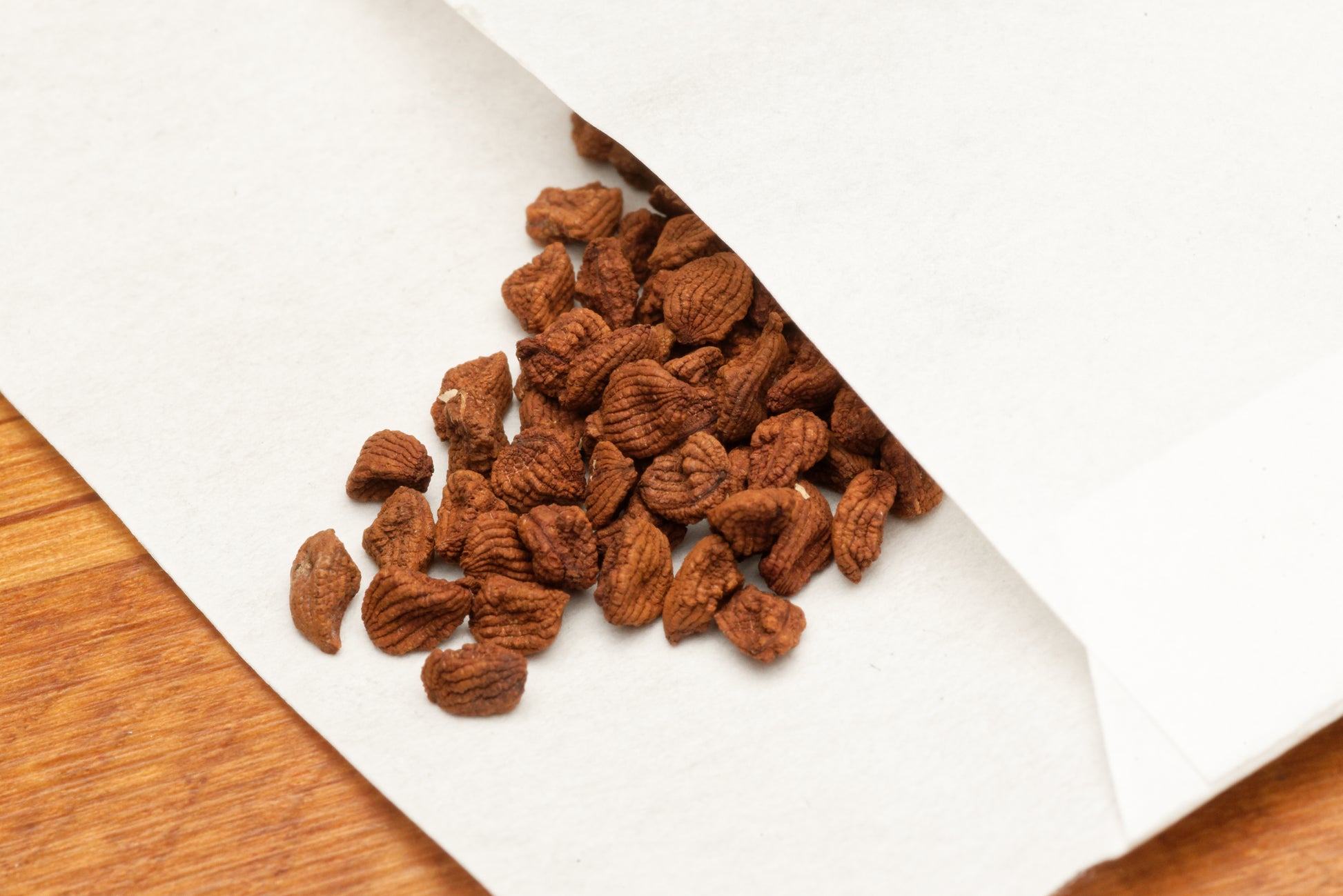 Frø fra Palmebladet flagermusblomst (Tacca palmata)