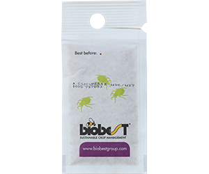 Lille hvid pose der indeholder rovmider mod trips