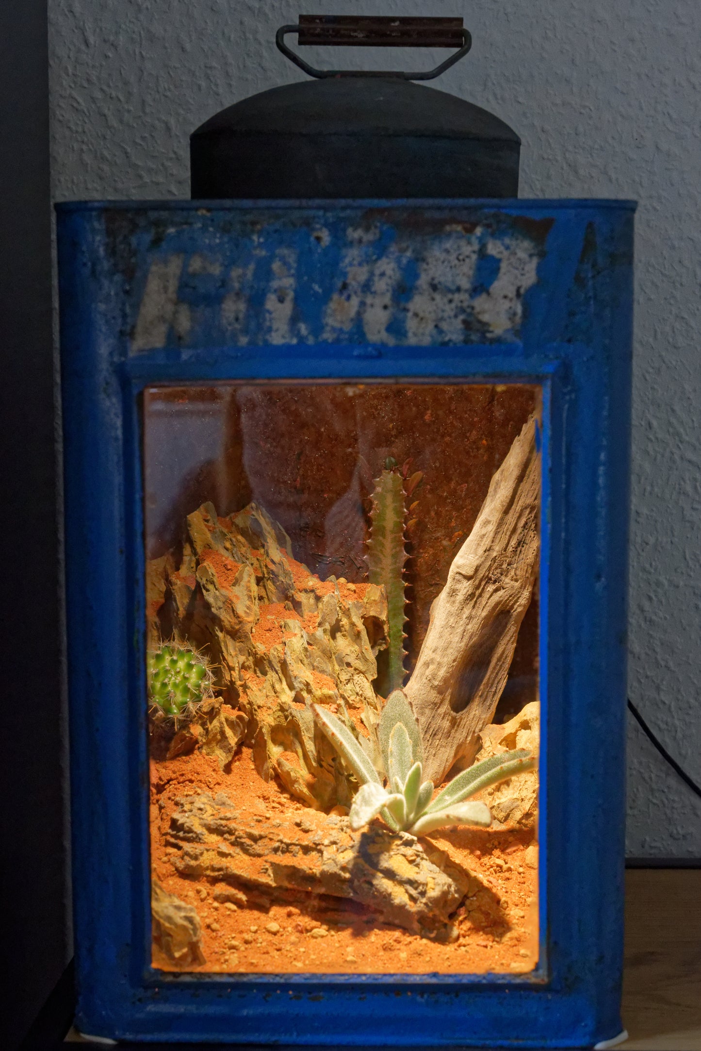 Ørkenterrarium