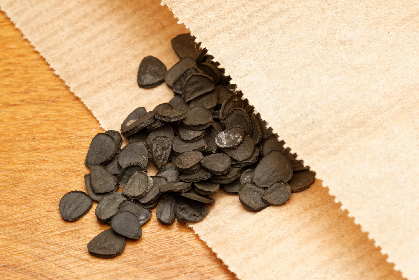 De flotte sorte frø af Blå sølv-yucca (Yucca rostrata "Blue Silver")