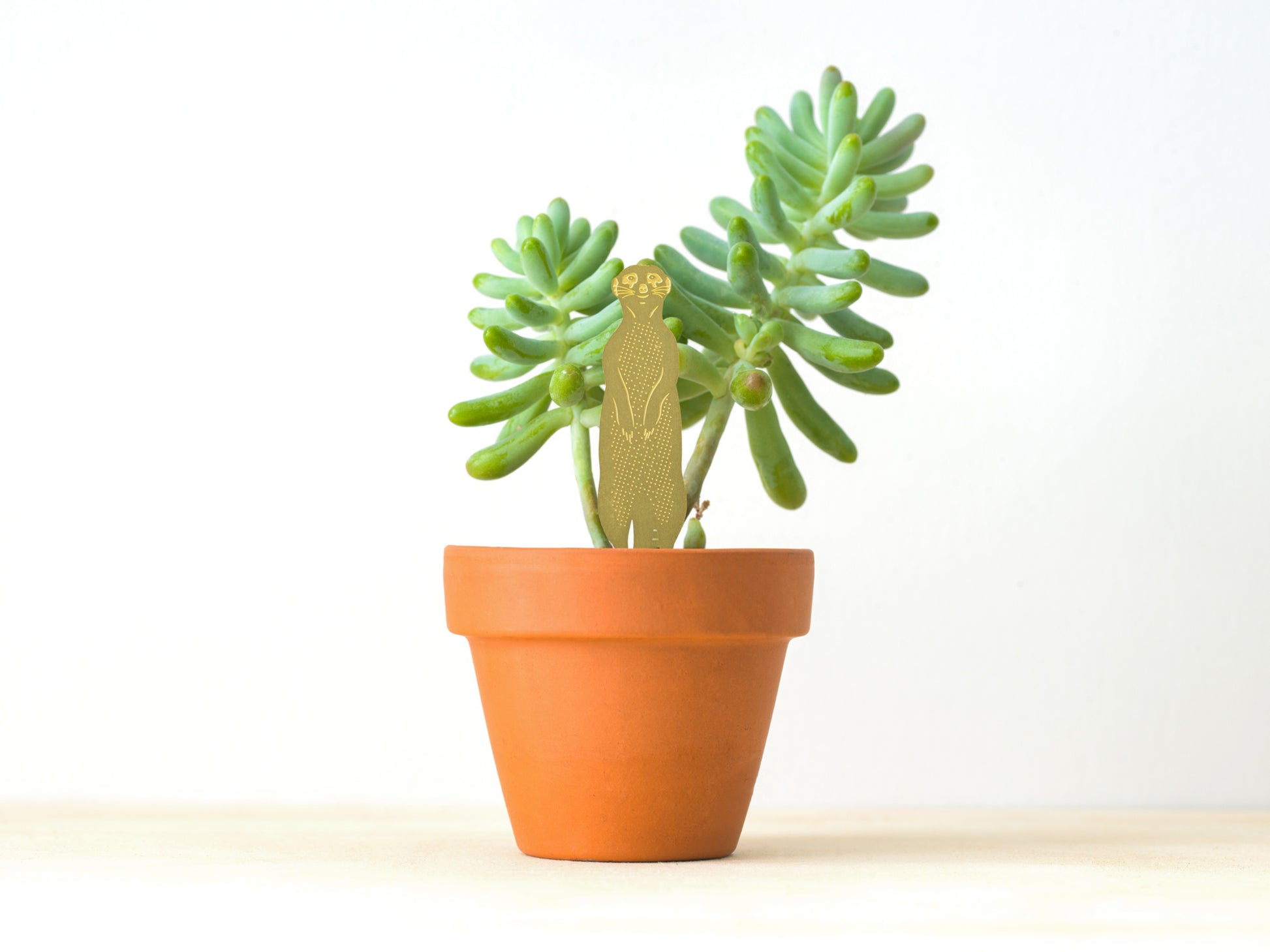 Surikatfigur i messing, der pynter i en potteplante