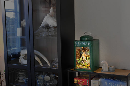 Bioaktivt terrarium