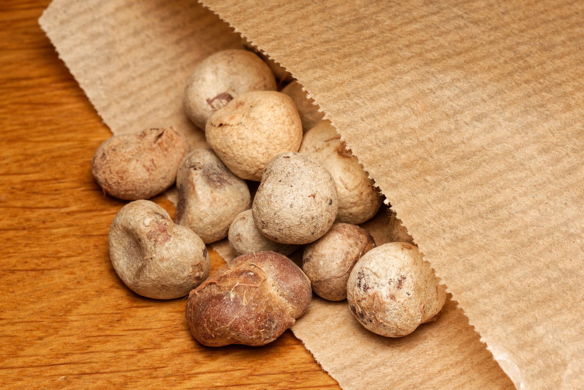Frø af Grandidiers baobab (Adansonia grandidieri) i en brun papirspose