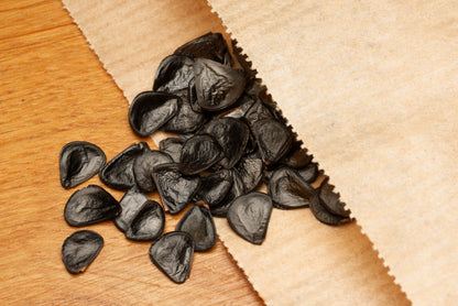 Frø af Blå Agave (Agave americana "Toliman Blue") i fin papirspose