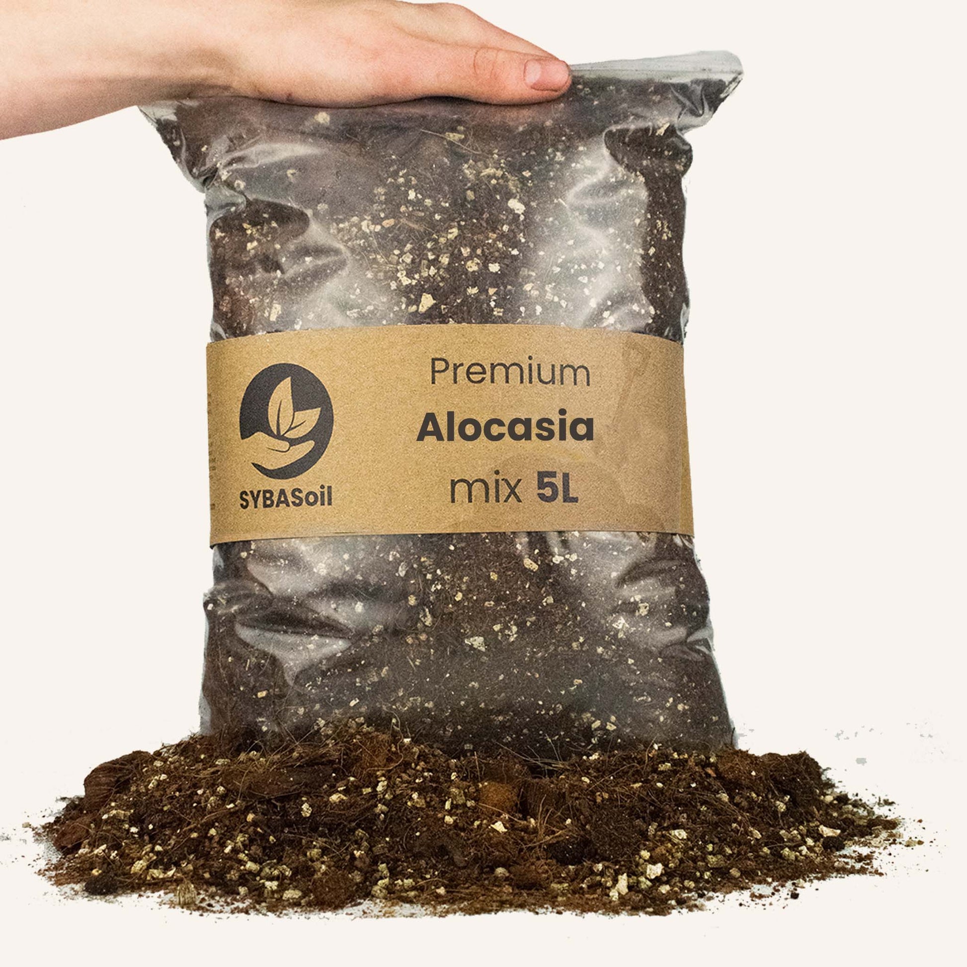 Pose med jord lavet specielt til Alocasia planter