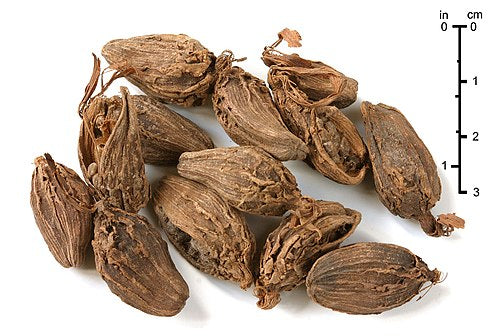 Sort kardemomme (Amomum subulatum) kapsler