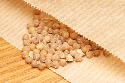 De små fine frø af Elefantfod (Beaucarnea stricta) i en brun papirspose