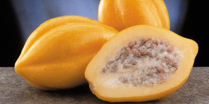 Gule frugter af Bjerg Papaya (Carica pubescens)