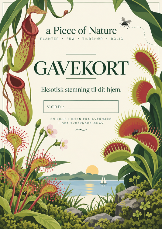 Gavekort til a Piece of Nature med Kødædende plante tema