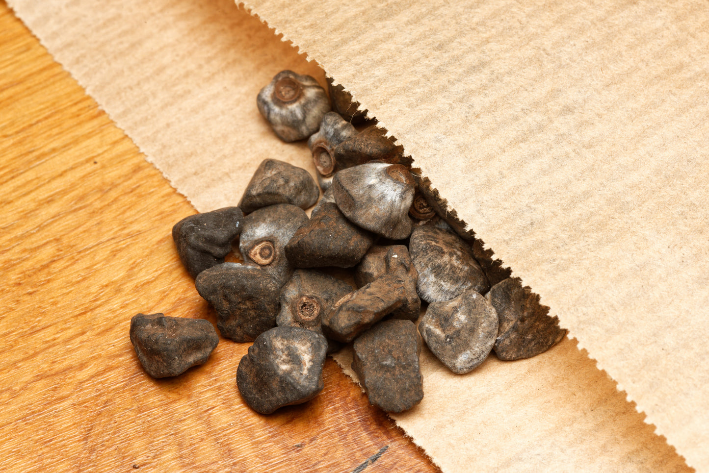 Frø af Himalaya banan (Musa sikkimensis "Manipur Massive") i lille papirspose