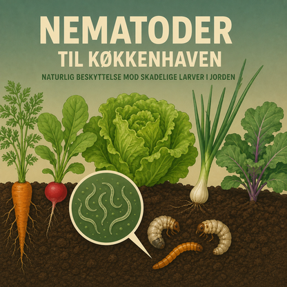 Oversigtsfigur af nematoder til køkkenhaven