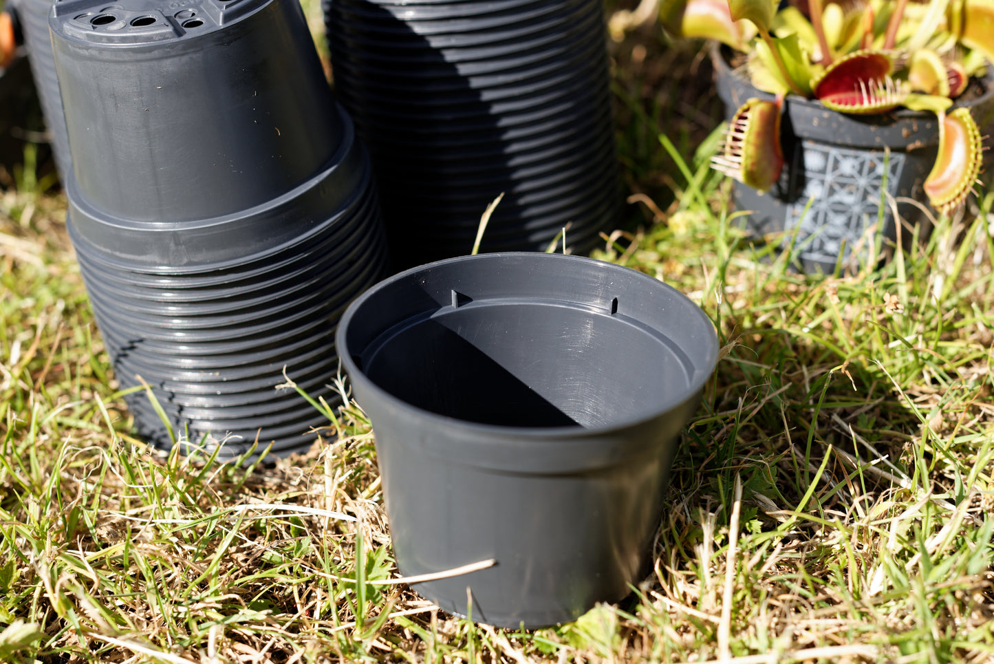 Nærbillede af en enkelt sort plastikpotte på 9 cm i diameter