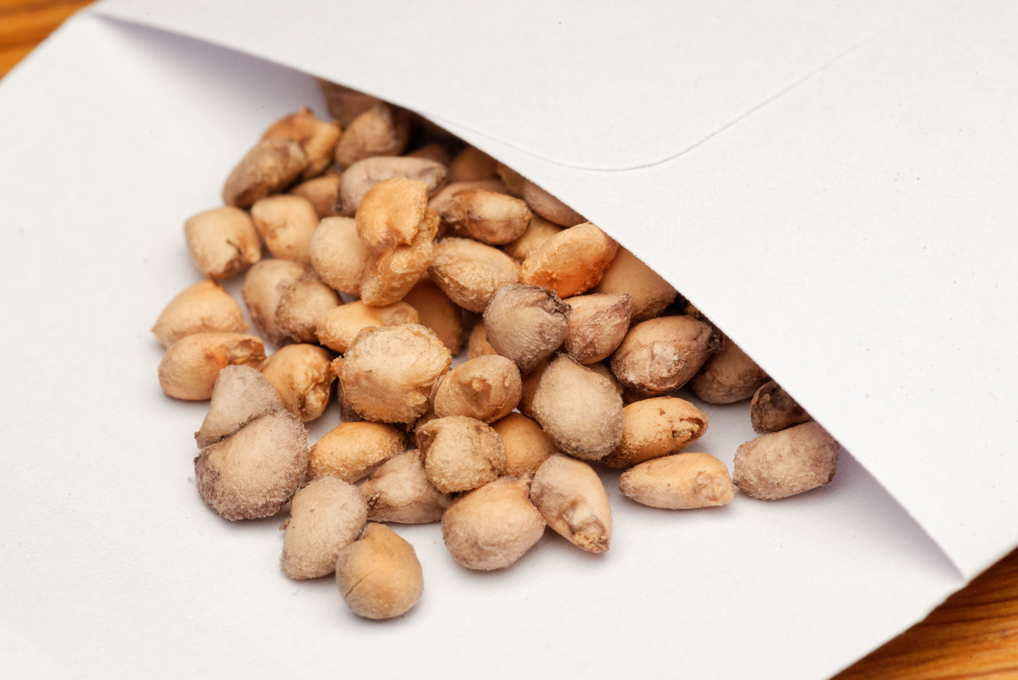 Costa Rica guava (Psidium friedrichsthalianum) frø i en lille hvid papirspose