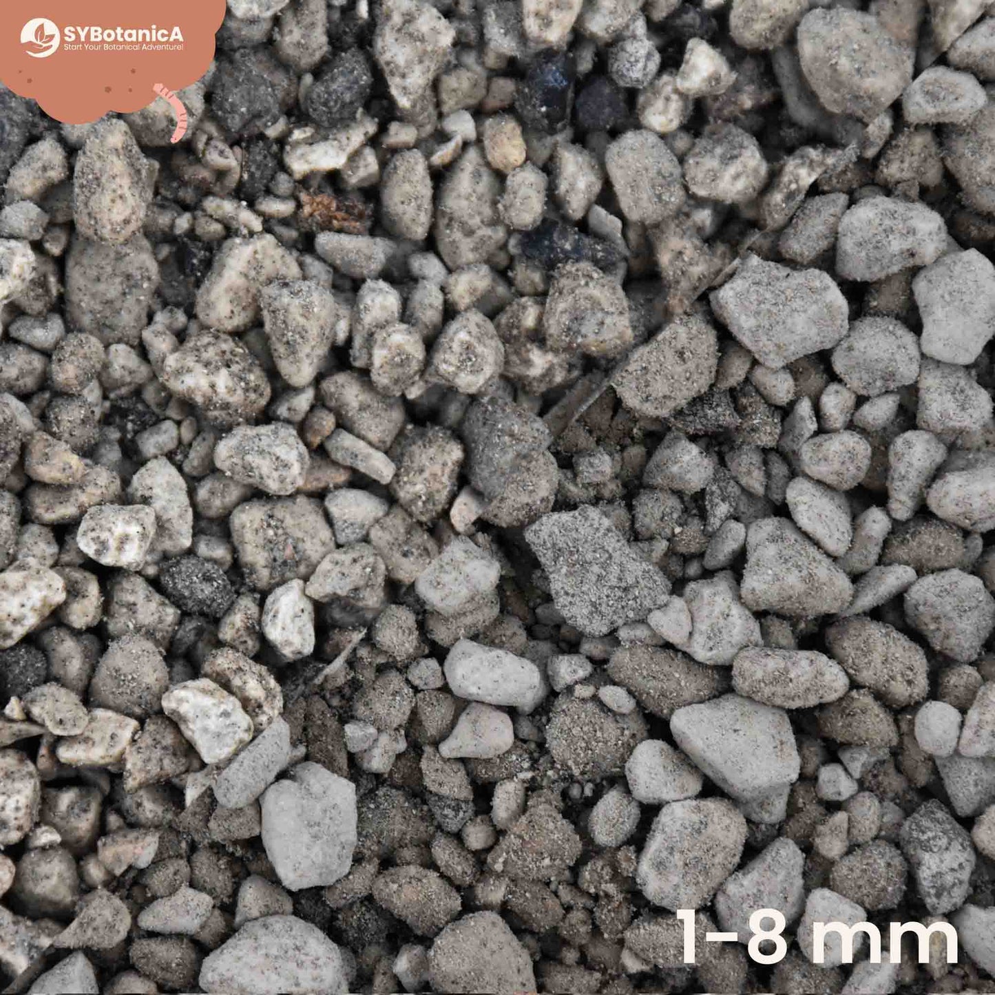 Nærbillede af pumice eller pimpsten