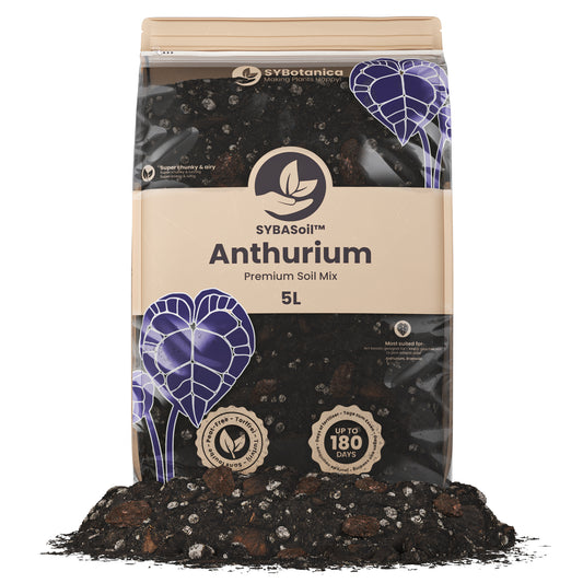 Pose med Anthuriumjord