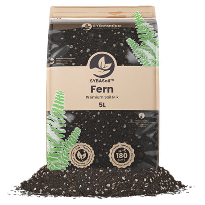 Fin pose med jord specielt til bregner