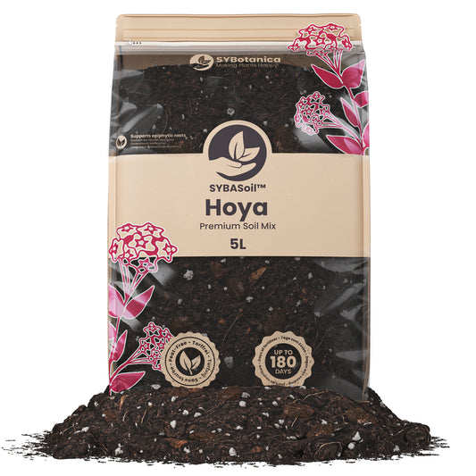 Pose med specialjord til Hoya planter