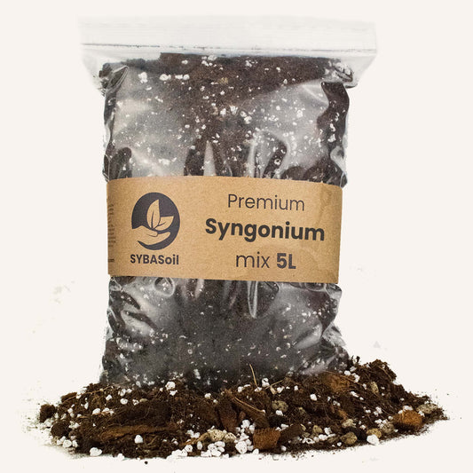 Jord specielt lavet til Syngonium planter