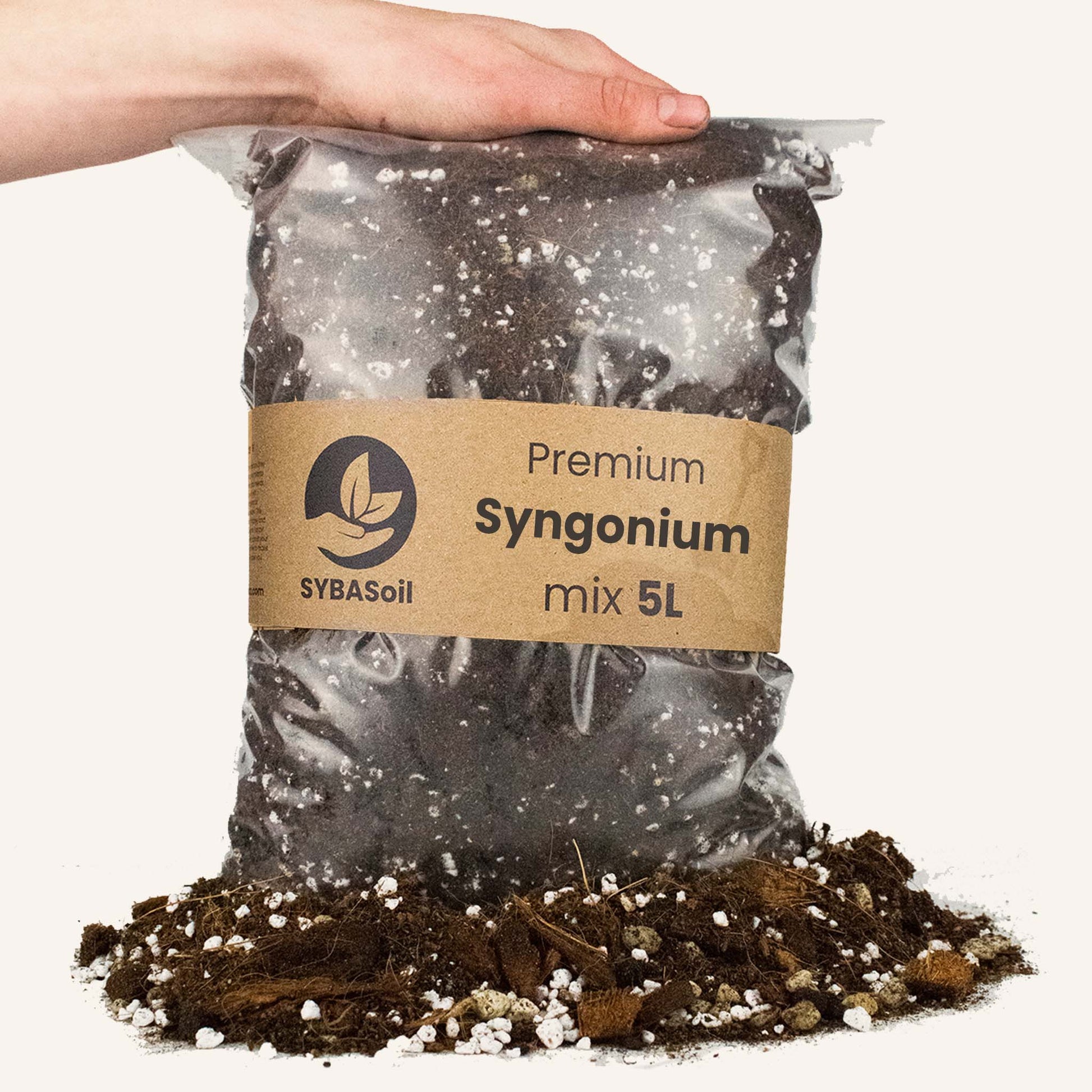 Pose med specialjord til Syngonium planter