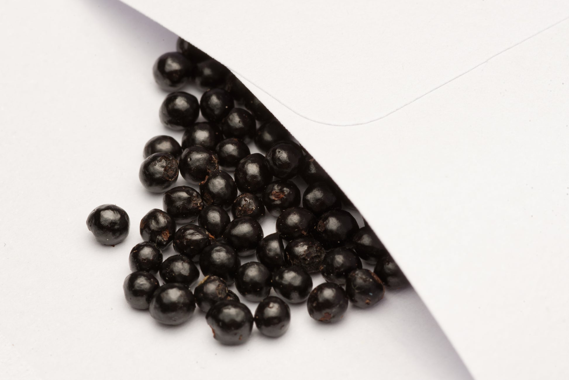 De smukke sorte runde frø af Himalaya-pebertræ (Zanthoxylum armatum)