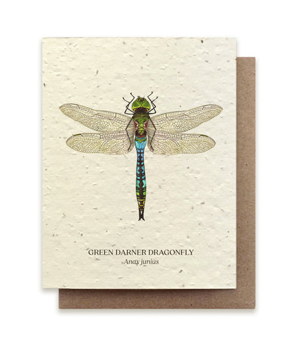 Smukt postkort med motiv af en guldsmed