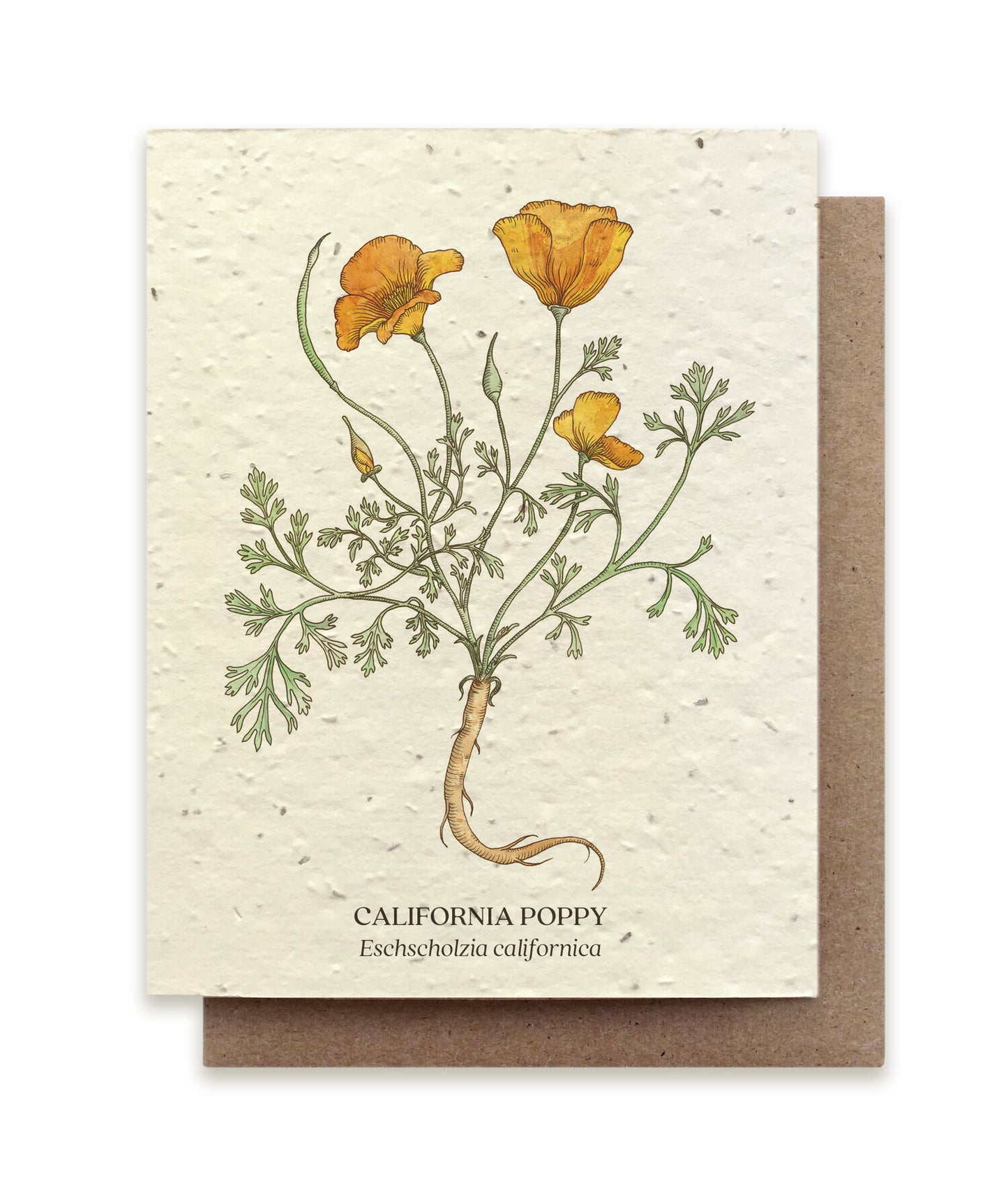 Smukt postkort med motiv af en gul valmue