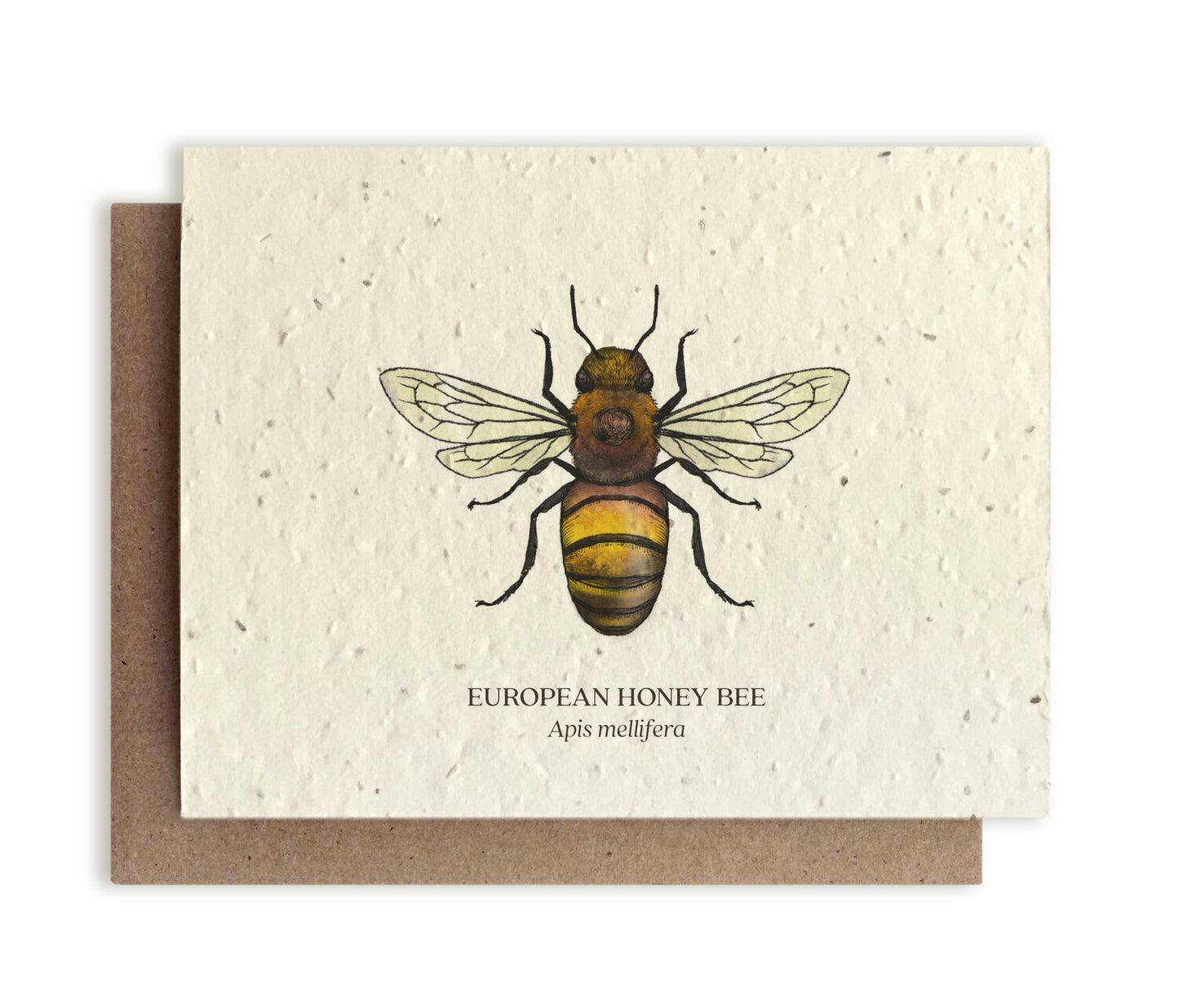 Smukt postkort med motiv af en honningbi