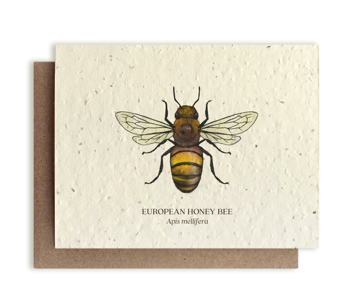Smukt postkort med motiv af en honningbi