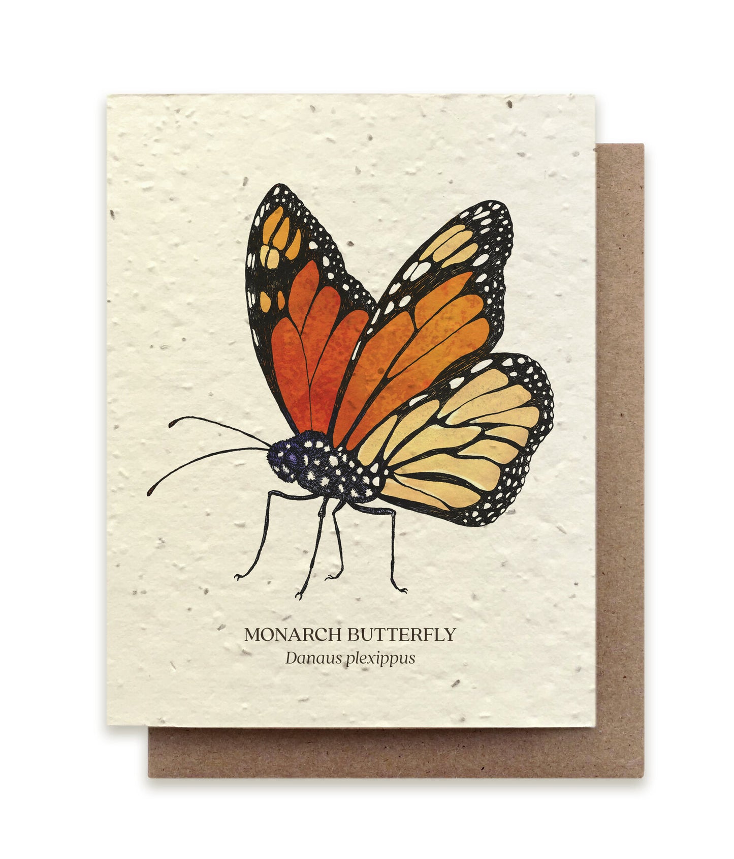 Smukt postkort med motiv af en monarch sommerfugl