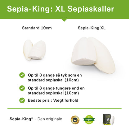Forskellen mellem normale og XL sepiaskaller