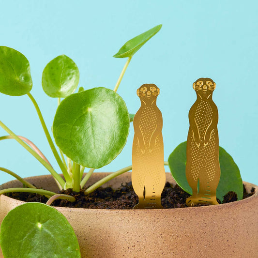 Et par surikater i messing, der sidder i en potteplante
