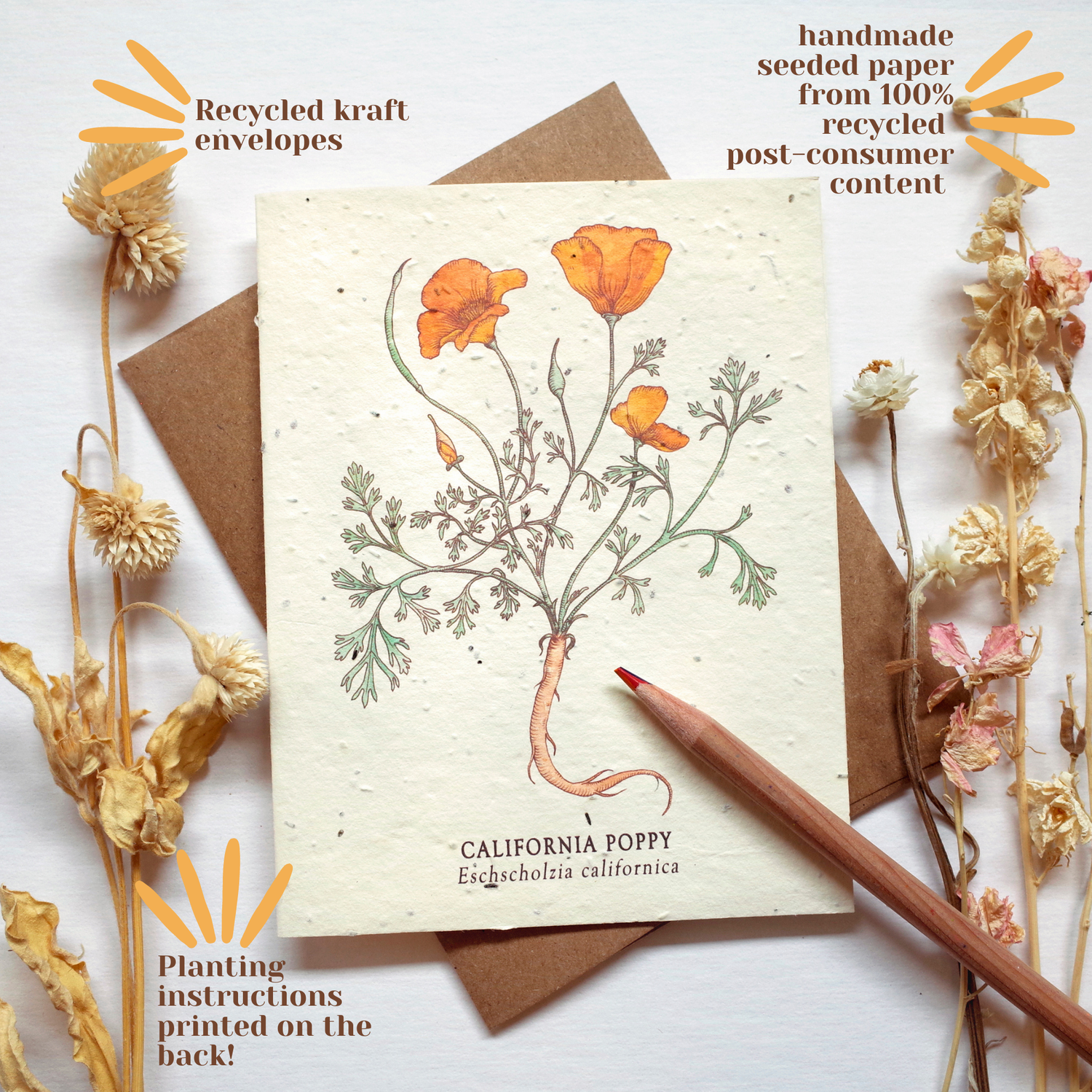 Infoark til opbygning af postkort med plantefrø